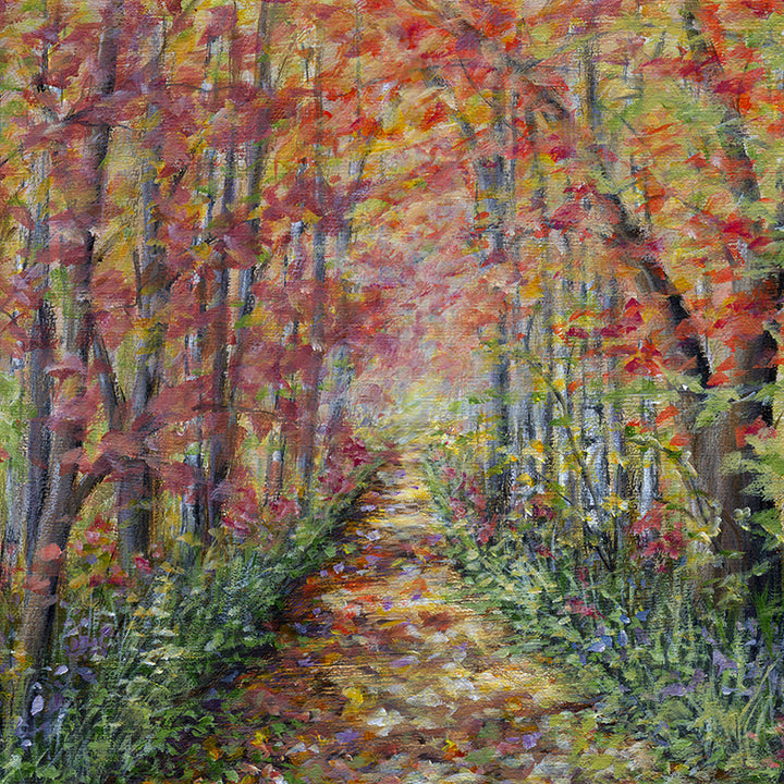 Fall Forest Photo Backdrop - HSD Photography Backdrops