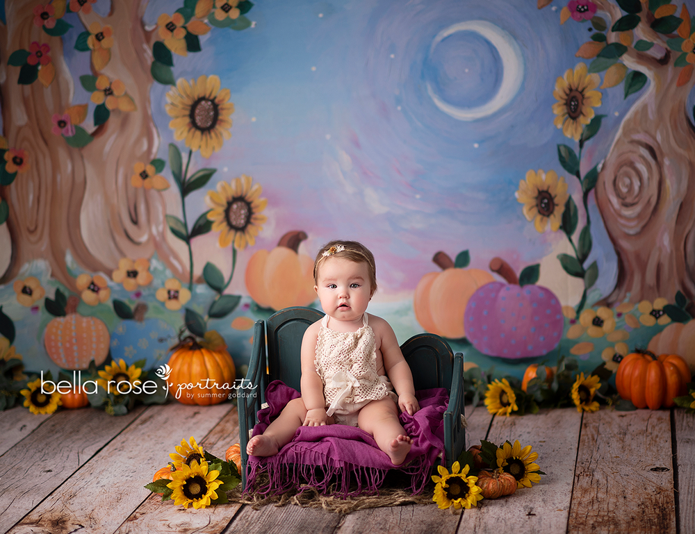 Whimsical Fall Painted - HSD Photography Backdrops