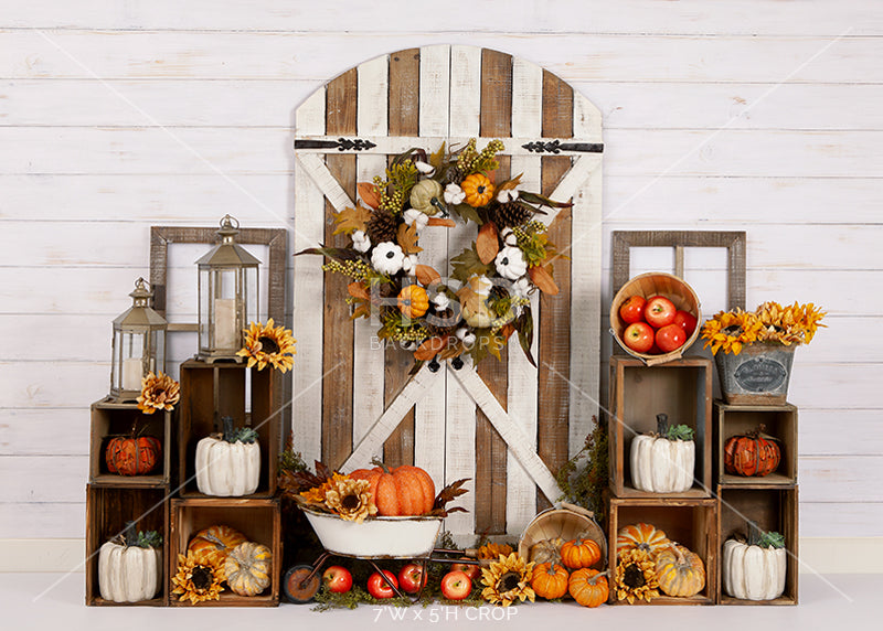 Signs of Fall - HSD Photography Backdrops