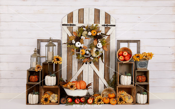 Signs of Fall - HSD Photography Backdrops