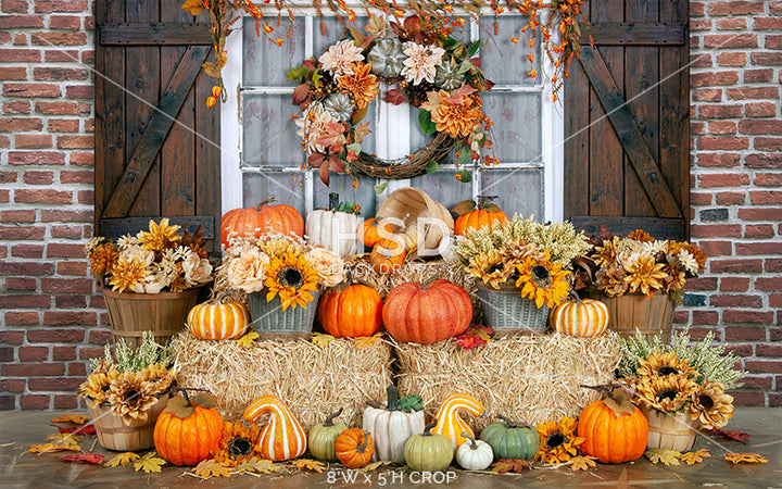 Fall on the Farmstead - HSD Photography Backdrops