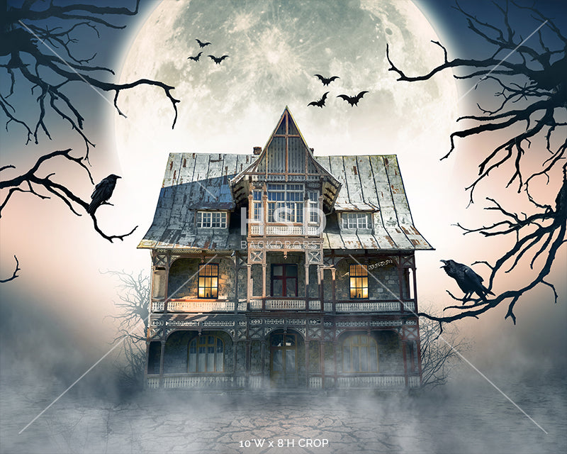 Ghost Town - HSD Photography Backdrops