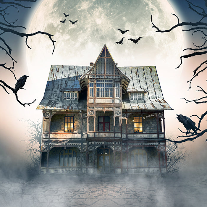 Ghost Town - HSD Photography Backdrops