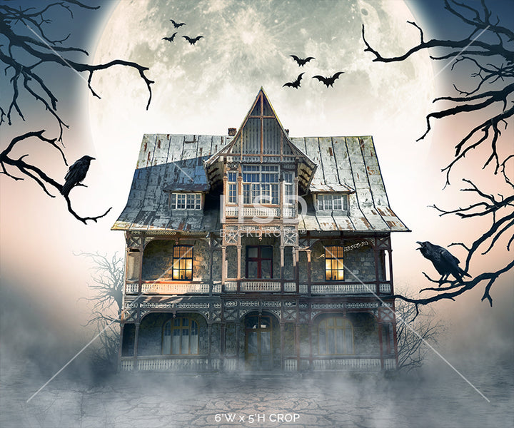 Ghost Town - HSD Photography Backdrops
