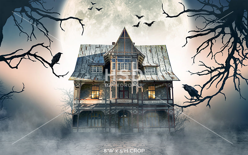 Ghost Town - HSD Photography Backdrops
