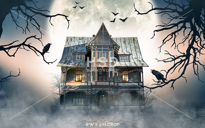 Ghost Town - HSD Photography Backdrops