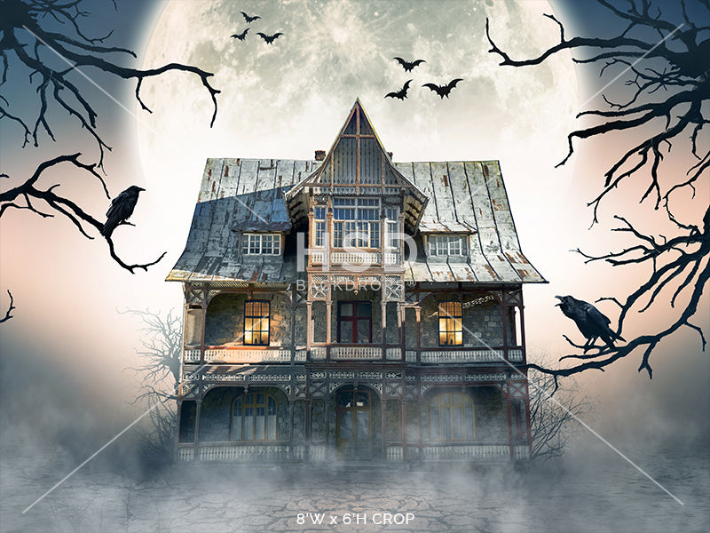 Ghost Town - HSD Photography Backdrops