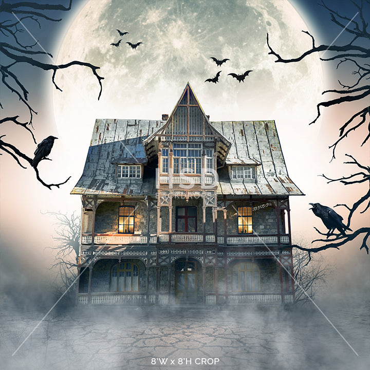 Ghost Town - HSD Photography Backdrops