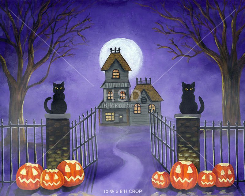 Welcome Halloween - HSD Photography Backdrops