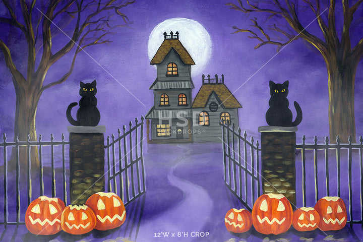 Welcome Halloween - HSD Photography Backdrops