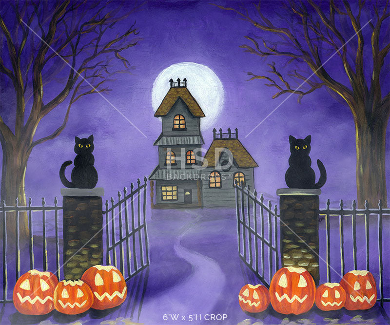 Welcome Halloween - HSD Photography Backdrops