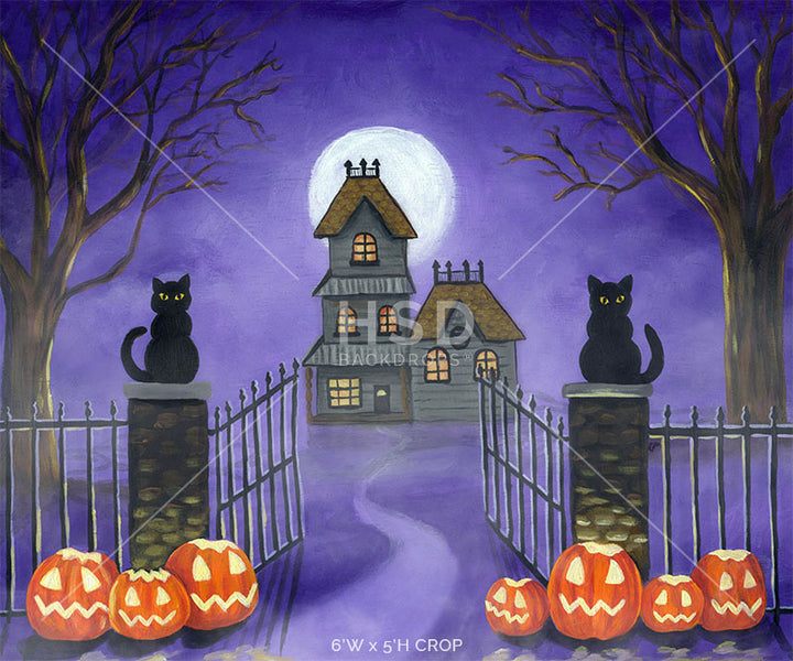 Welcome Halloween - HSD Photography Backdrops