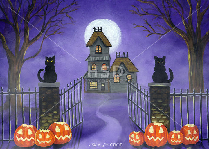 Welcome Halloween - HSD Photography Backdrops