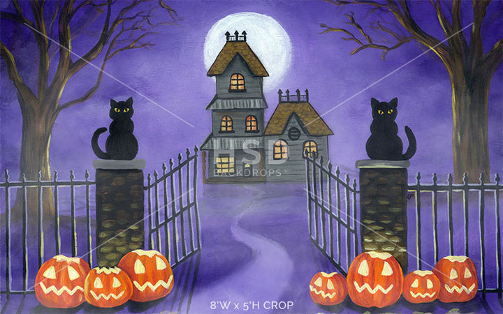 Welcome Halloween - HSD Photography Backdrops