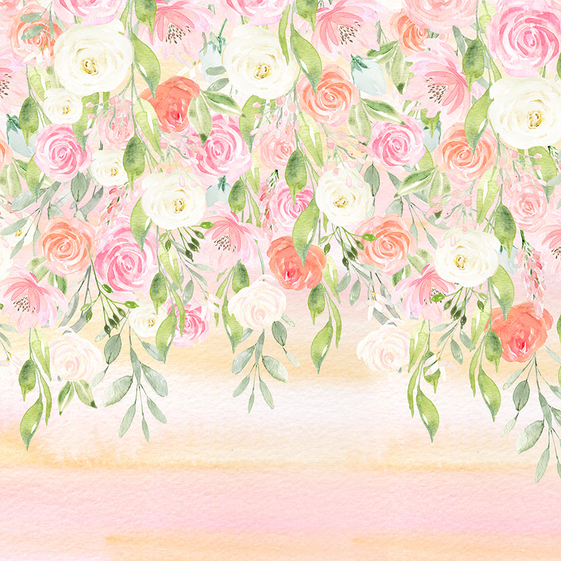 Katelyn - HSD Photography Backdrops