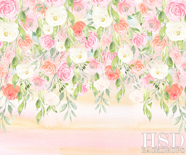 Katelyn - HSD Photography Backdrops