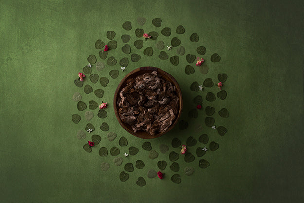 Oasis | Fairy Garden Coll. | Digital - HSD Photography Backdrops
