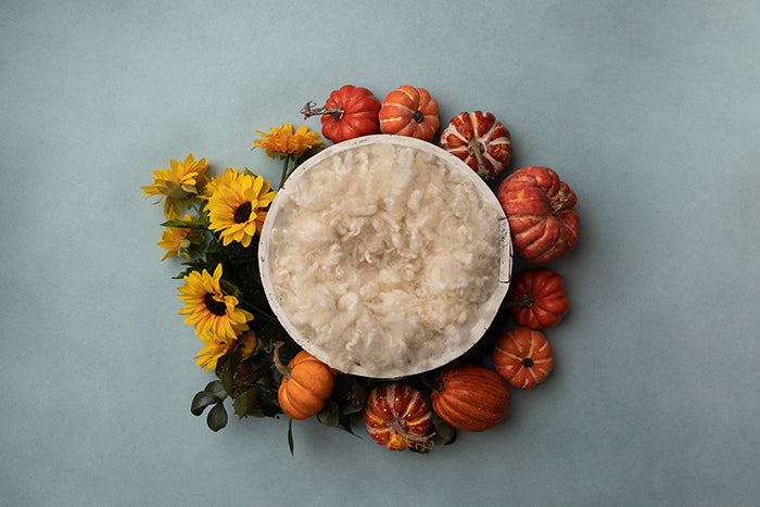 Fall Bunch | Newborn Digital Backdrop - HSD Photography Backdrops