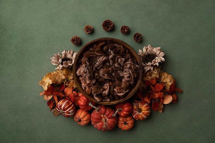 Fall Delight | Newborn Digital Backdrop - HSD Photography Backdrops