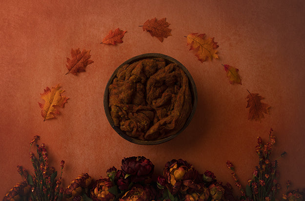 Burnt Orange Autumn Collection | Digital - HSD Photography Backdrops 
