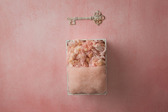 Nora | Faye Coll. | Digital - HSD Photography Backdrops