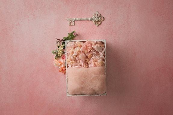 Digital Backdrop | Faye Coll. | Penny - HSD Photography Backdrops