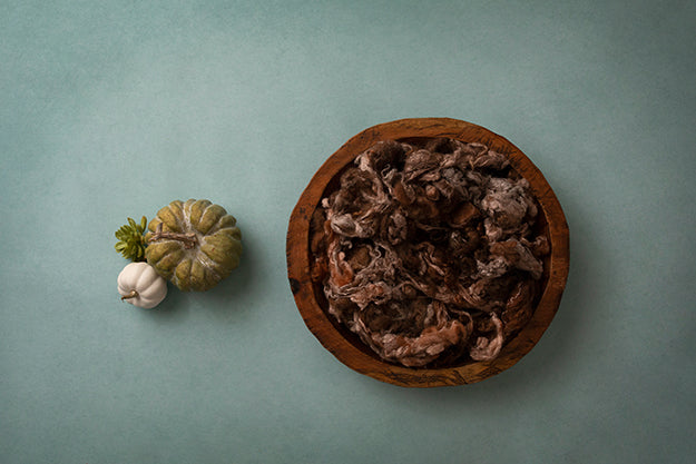 Festive Fall | Autumn Days Coll. | Digital - HSD Photography Backdrops
