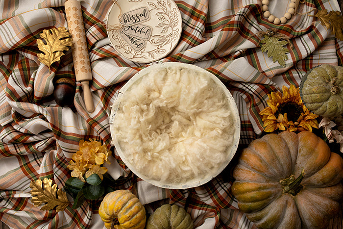 Flavors of Fall II | Digital - HSD Photography Backdrops