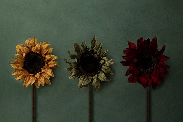 Sunflower Delight Coll. | Forever Fall | Digital - HSD Photography Backdrops
