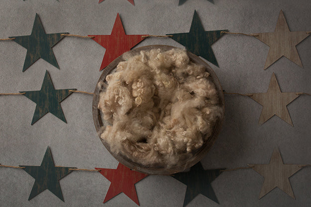 Freedom Collection | Digital - HSD Photography Backdrops