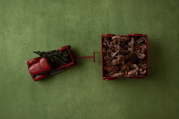 Freshly Cut | Deck the Halls Coll. | Digital - HSD Photography Backdrops