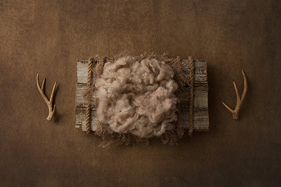 Antlers | Gone Fishin' Coll. | Digital - HSD Photography Backdrops