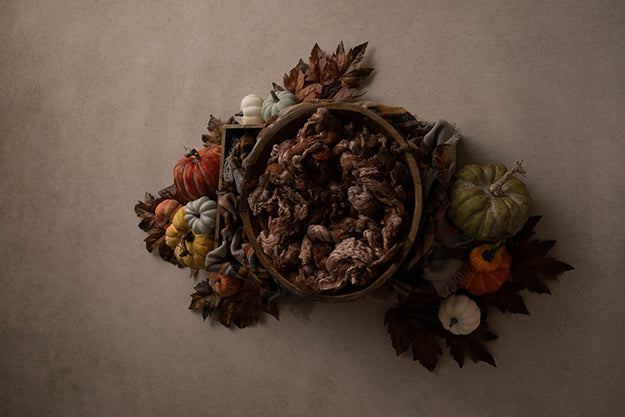 Autumn Harvest Collection | Digital - HSD Photography Backdrops