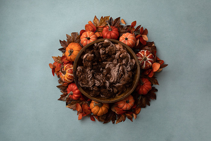 Harvest of Memories | Newborn Digital Backdrop - HSD Photography Backdrops