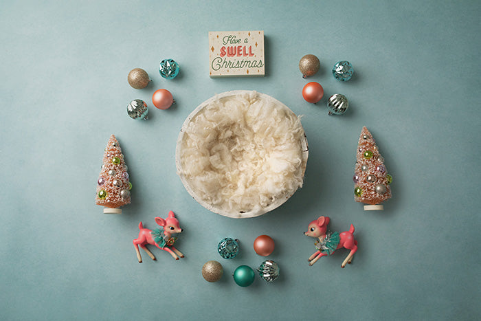 Have a Swell Christmas I | Digital - HSD Photography Backdrops