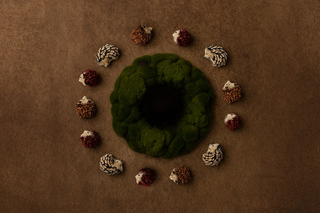Newborn Digital Backdrop | Hedgehogs - HSD Photography Backdrops