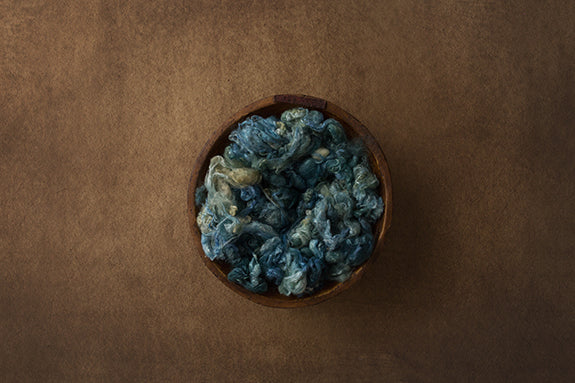 Blue Bird | Light As A Feather I Coll. | Digital - HSD Photography Backdrops