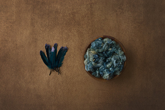Robin | Light As A Feather I Coll. | Digital - HSD Photography Backdrops