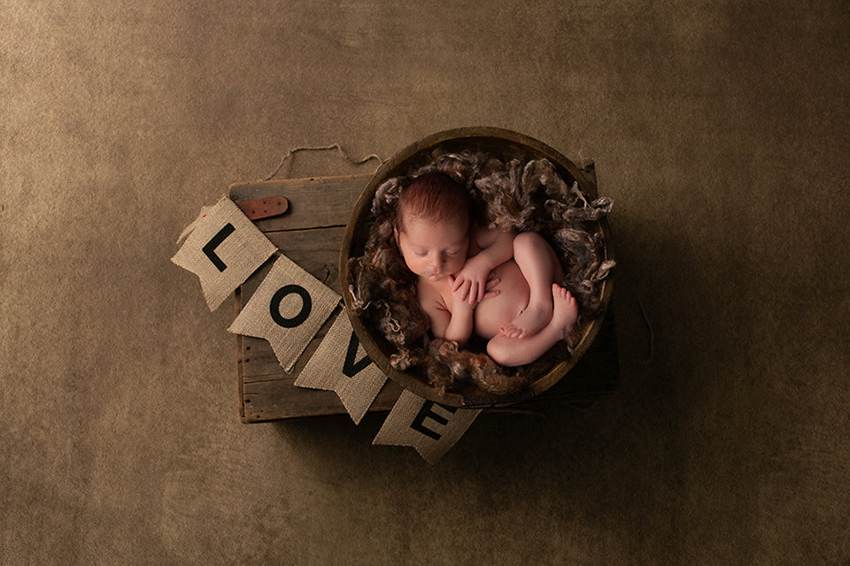 Newborn Digital Backdrop | Love Banner - HSD Photography Backdrops