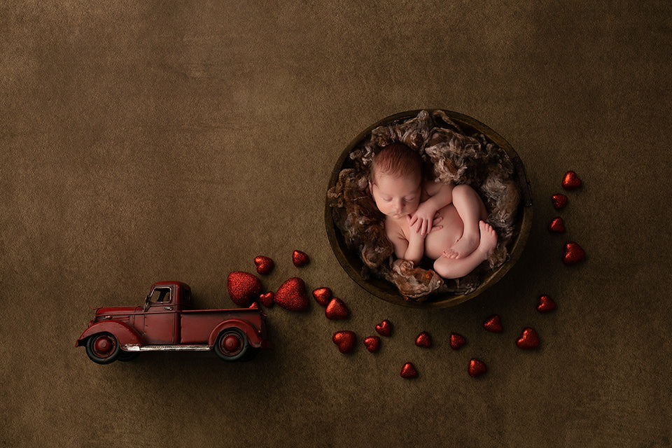 Newborn Digital Backdrop | Love in the Air - HSD Photography Backdrops