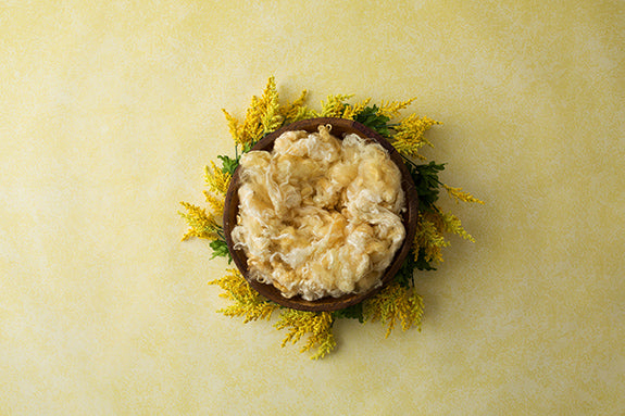 My Little Sunshine Collection | Digital - HSD Photography Backdrops