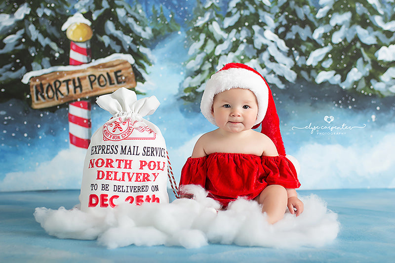 To the North Pole - HSD Photography Backdrops