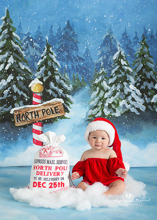 To the North Pole - HSD Photography Backdrops