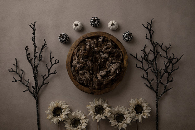 October Evening | Happy Haunting Coll. | Digital - HSD Photography Backdrops