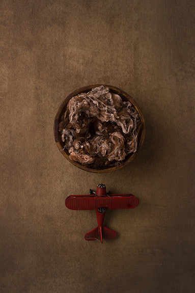 Red Airplane | Oh Boy! Coll. | Digital - HSD Photography Backdrops