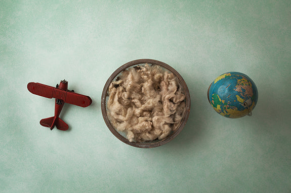 Globe-Trotting I | Passport Coll. | Digital - HSD Photography Backdrops