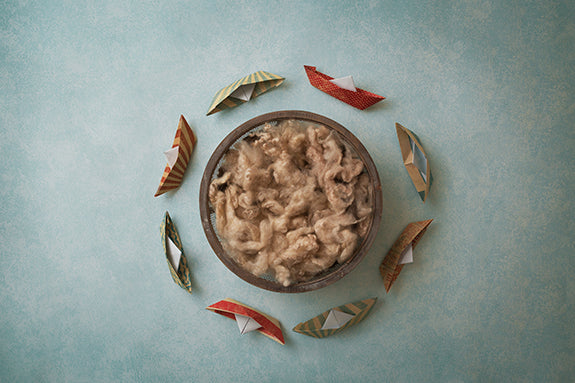 Set Sail III | Passport Coll. | Digital - HSD Photography Backdrops