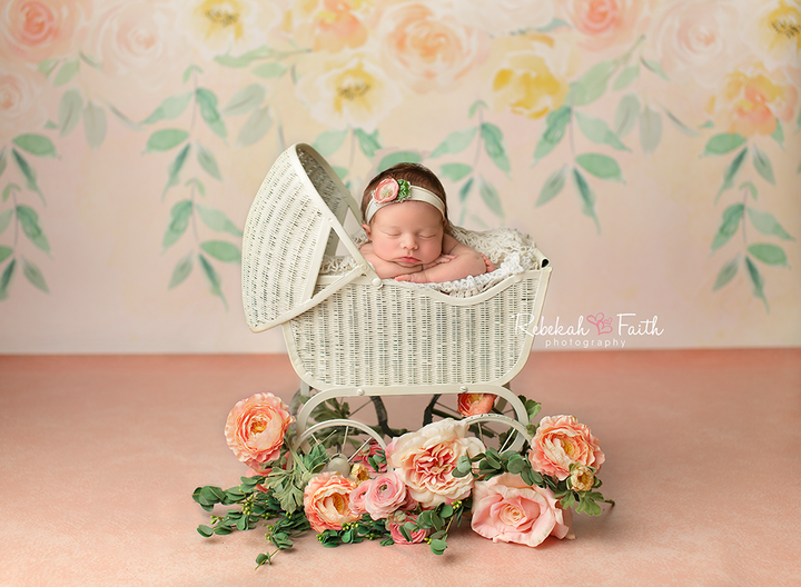 Floria | Caroline - HSD Photography Backdrops