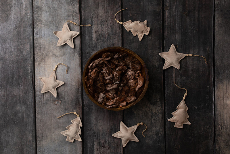 Plush Ornaments | Digital - HSD Photography Backdrops