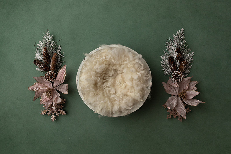 Pretty Poinsettias II | Digital - HSD Photography Backdrops